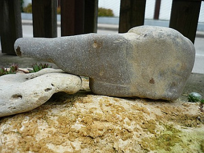 ELEFANT.jpg