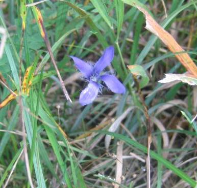 Img_8495_1_1.jpg
