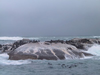 Sudafrika_2008_340.JPG