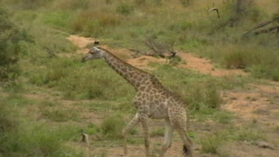 sudafrika_2_126.JPG