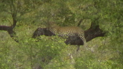 sudafrika_2_173.JPG