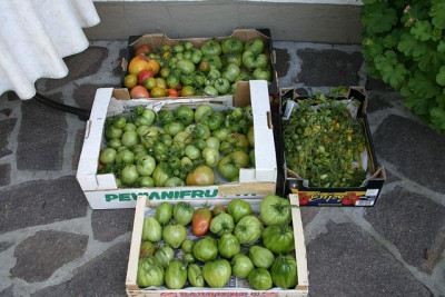 Oktober0110.jpg