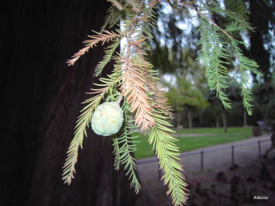 PICT5039.JPG