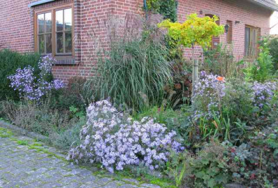 Astern_640x480.jpg