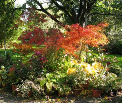 Topfparade_im_Herbst_640x480.jpg