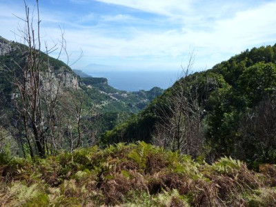 9_Wanderweg_nach_Amalfi_fars_2010.jpg