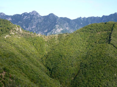 110_Impressionen_fars_2010.jpg