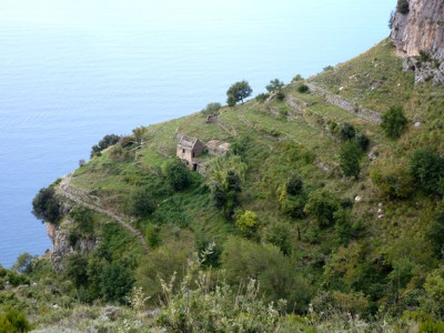 128_Sentiero_degli_dei_fars_2010.jpg