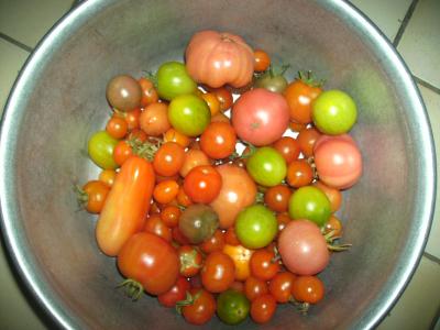 ImmernochTomaten.jpg