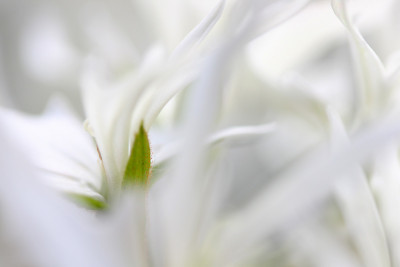 Bokeh-Spielerei.jpg