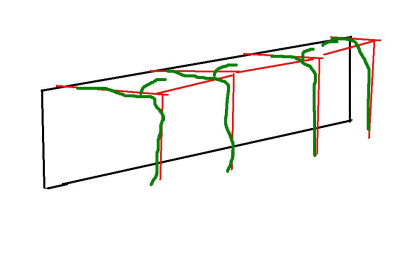 pergola_1830.JPG