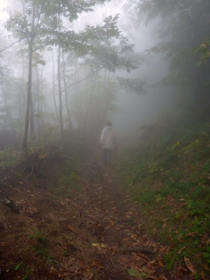 Oktobernebel_fars_2010.jpg