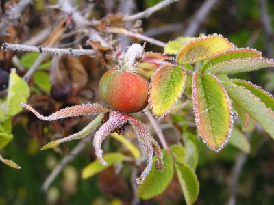 101023_10a.jpg