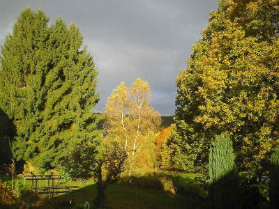 Herbst_24.10.10.jpg