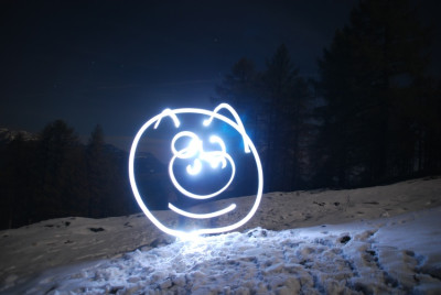 lichtmalerei_schwein.jpg