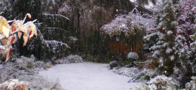 ersterschnee2010.jpg
