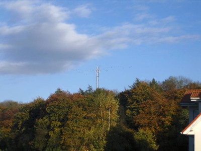 kranichzug2010goe.JPG