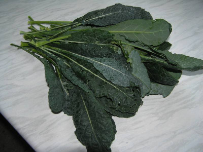 ernte281010.jpg