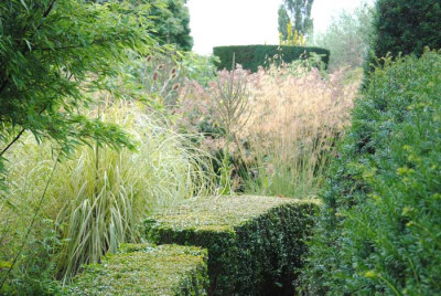 GDixter01_web.jpg