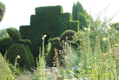 GDixter02_web.jpg
