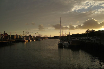 nordsee2010_zg1.jpg