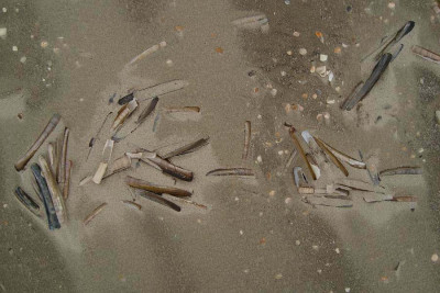 nordsee2010_zg10.jpg