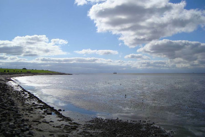 nordsee2010_zg14.jpg