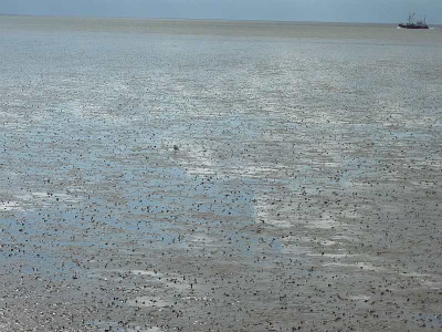 nordsee2010_zg16.jpg