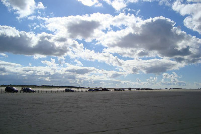 nordsee2010_zg17.jpg