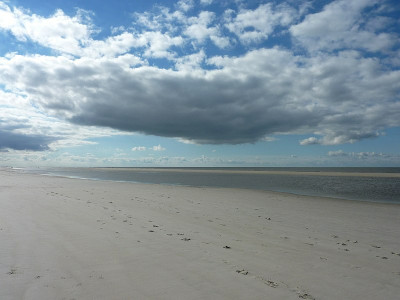 nordsee2010_zg21.jpg