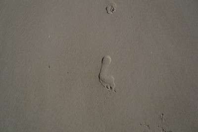 nordsee2010_zg22.jpg