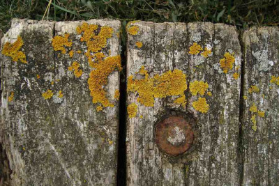nordsee2010_zg32.jpg