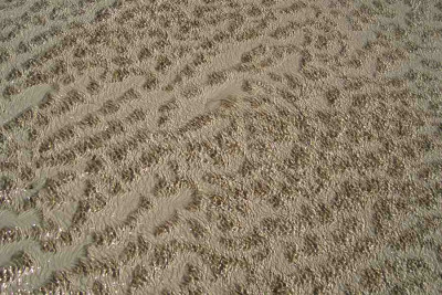 nordsee2010_zg37.jpg