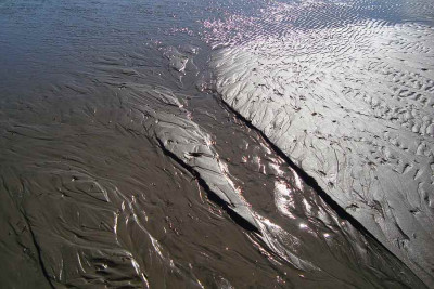 nordsee2010_zg38.jpg