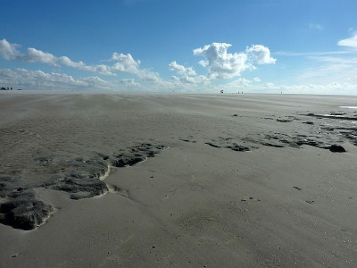 nordsee2010_zg41.jpg
