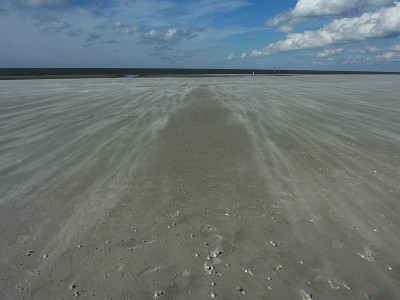 nordsee2010_zg43b.jpg