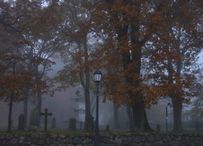 Halloween.JPG