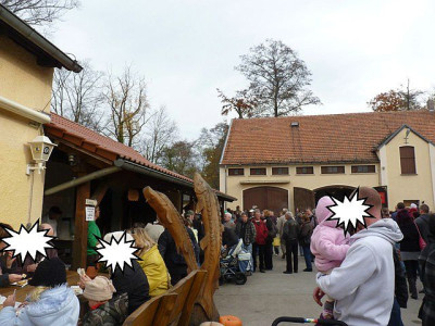 10fisch01.jpg