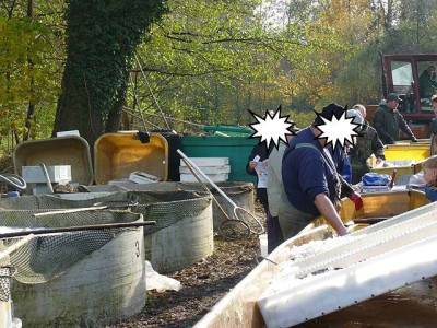 10fisch09.jpg