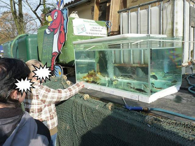 10fisch07.jpg