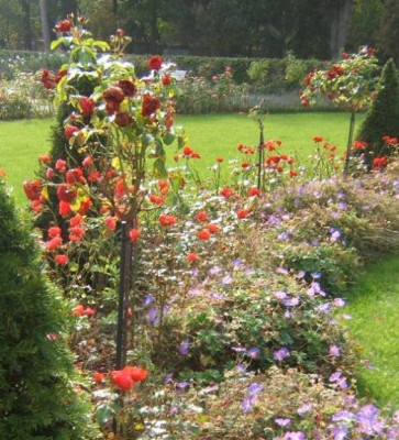 Rosarium_LaGa.JPG