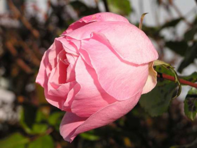101101_07a.jpg
