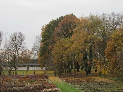 Herbst_im_Park_ue.jpg