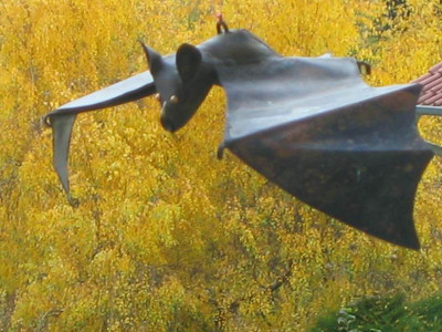 comp_04.Nov.2010_003.jpg