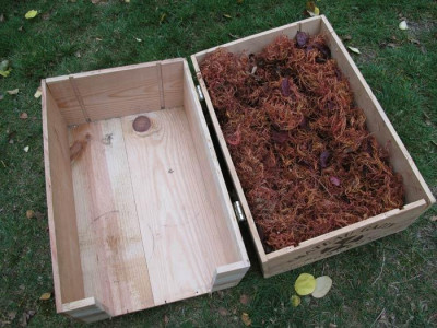huehnernest_02.jpg