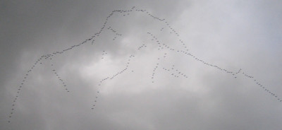 IMG_5007_33.jpg