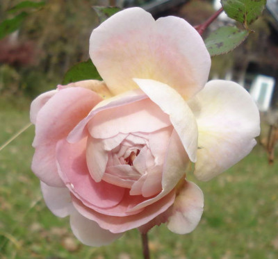 Abraham_Darby1.JPG
