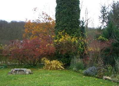 IMGP9480_2.jpg