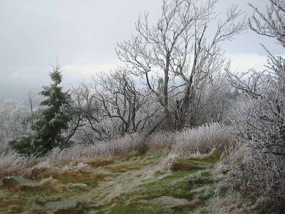 Groer_Feldberg_11.11.2010_eishang.jpg