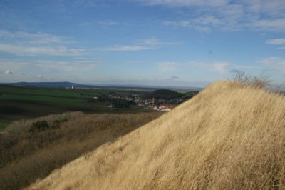kraschstandort.jpg